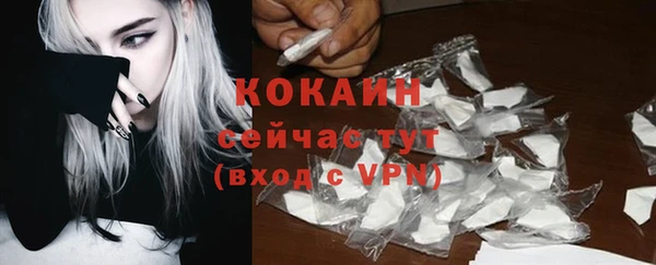 мдпв Надым
