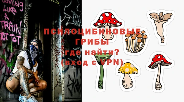 мдпв Надым